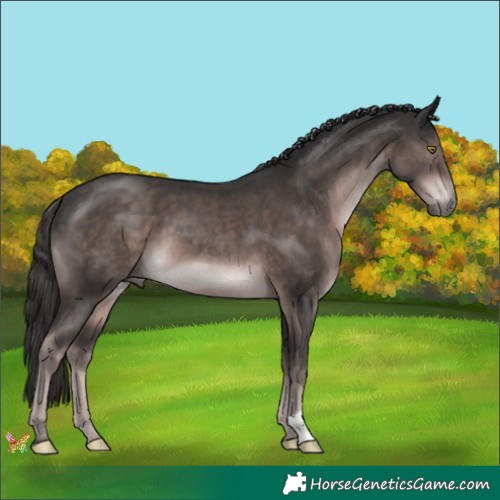 Horse Color:Platinum Liver Chestnut 