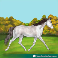 Horse Color:Platinum Chocolate Brown Roan Splash 