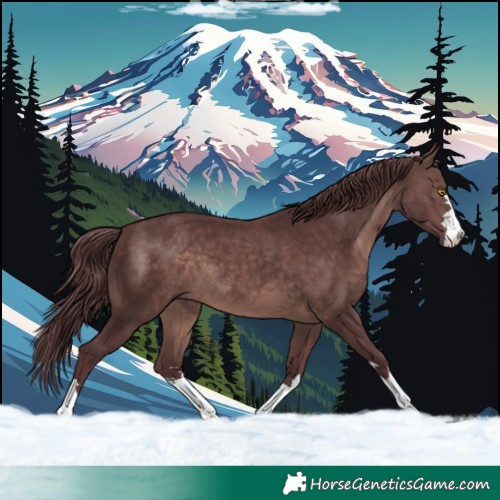 Horse Color:Platinum Chocolate Brown 