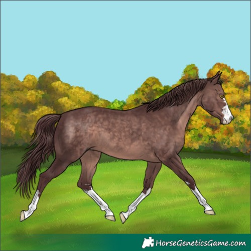 Horse Color:Platinum Chocolate Brown 