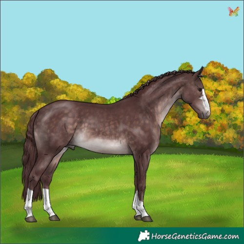 Horse Color:Platinum Chocolate Brown 