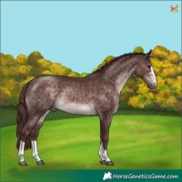 Horse Color:Platinum Chocolate Brown 