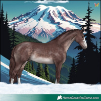 Horse Color:Platinum Chocolate Brown 