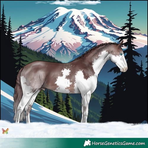 Horse Color:Platinum Chocolate Brown Splash 