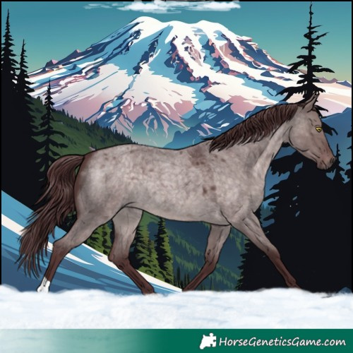 Horse Color:Platinum Chocolate Brown Roan Dun 