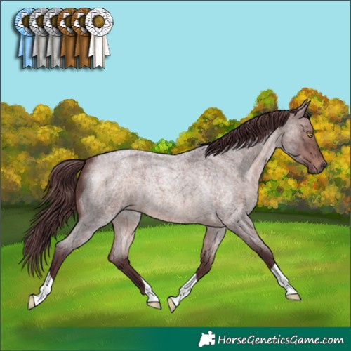 Horse Color:Platinum Chocolate Bay Roan 
