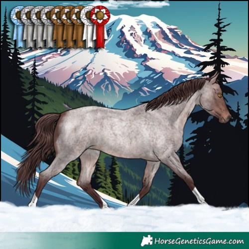 Horse Color:Platinum Chocolate Bay Roan 