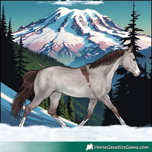 Horse Color:Platinum Chocolate Brown Dun 