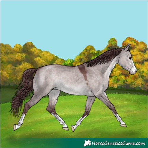 Horse Color:Platinum Chocolate Brown Dun 