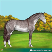 Horse Color:Platinum Chocolate Buckskin Dun 