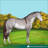 Horse Color:Platinum Chocolate Buckskin Dun 