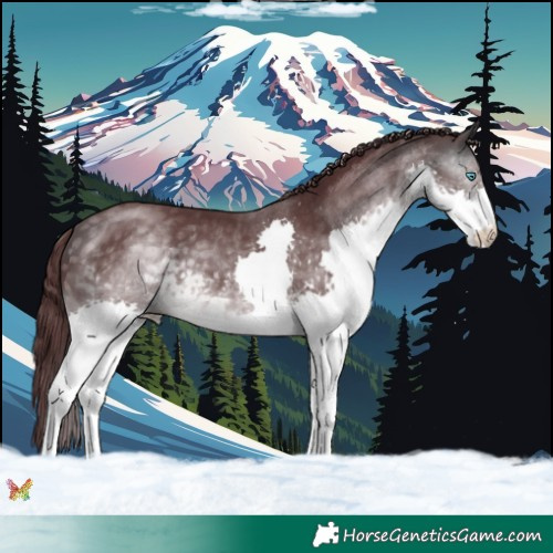 Horse Color:Platinum Chocolate Buckskin Splash 