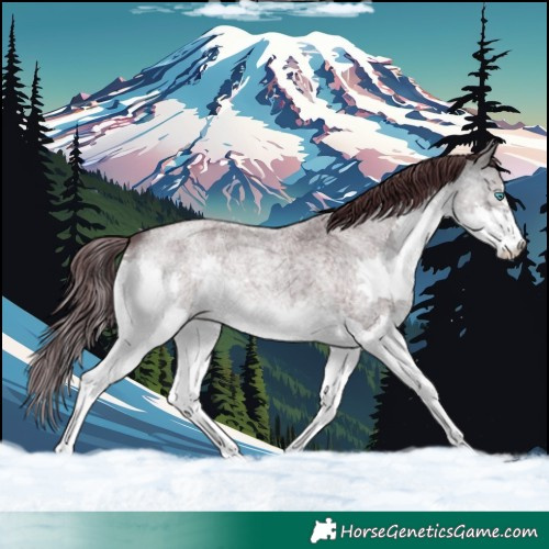 Horse Color:Platinum Chocolate Buckskin Roan Splash 