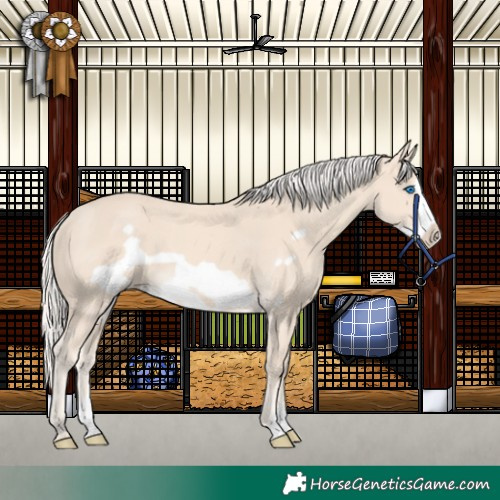 Horse Color:Cremello Frame 
