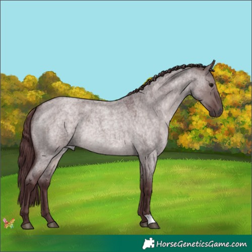 Horse Color:Platinum Chocolate Brown Roan Dun 