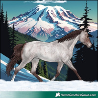 Horse Color:Platinum Chocolate Brown Roan 