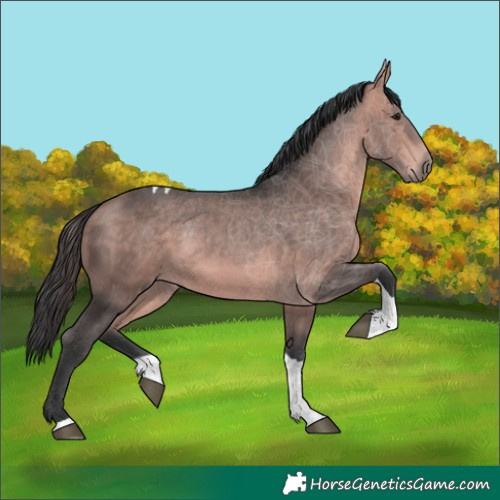 Horse Color:Platinum Bay Tobiano 