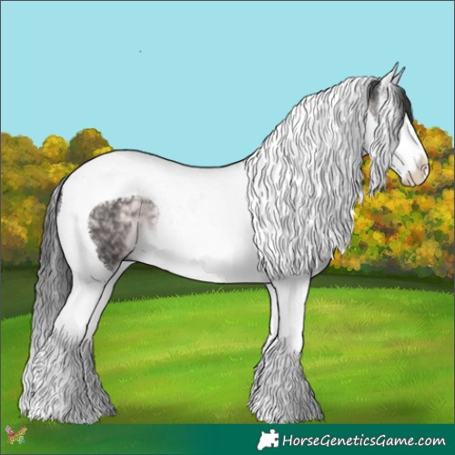 Horse Color:Platinum Buckskin Splash Tobiano