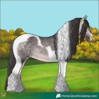 Horse Color:Platinum Buckskin Tobiano 