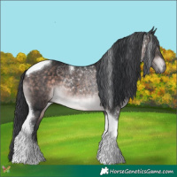 Horse Color:Platinum Brown Tobiano 