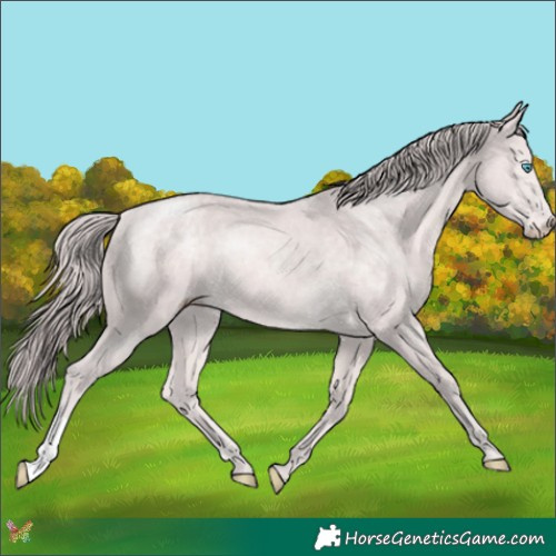 Horse Color:Platinum Chocolate Perlino 