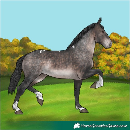 Horse Color:Platinum Brown Tobiano 