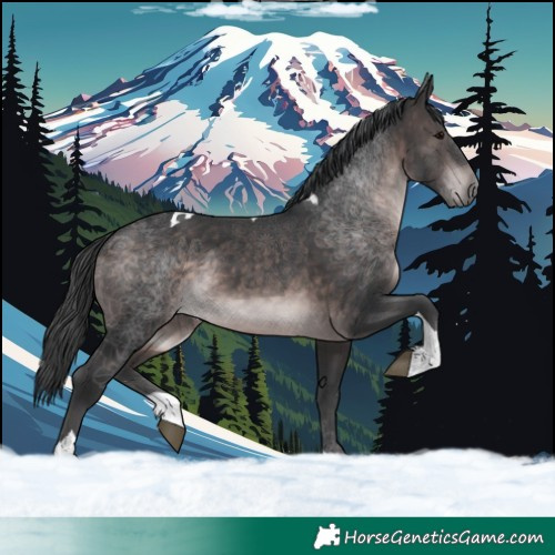 Horse Color:Platinum Brown Tobiano 