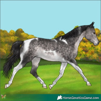 Horse Color:Platinum Buckskin Tobiano 