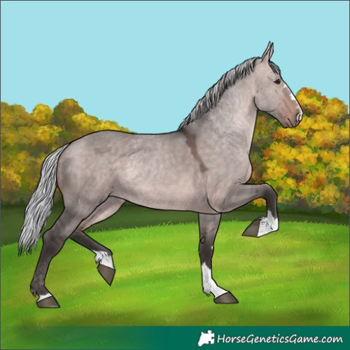 Horse Color:Platinum Silver Brown Dun 