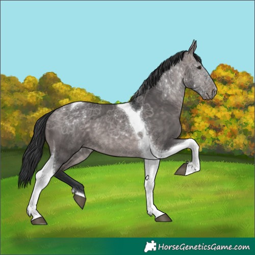 Horse Color:Platinum Brown Dun Tobiano 