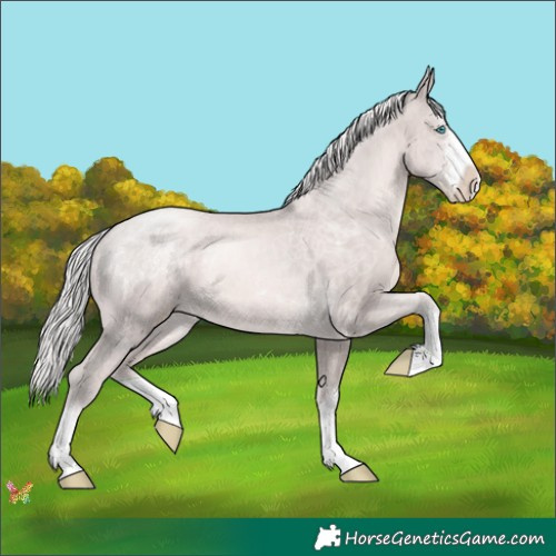 Horse Color:Platinum Chocolate Palomino Pearl 