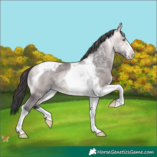 Horse Color:Platinum Buckskin Tobiano