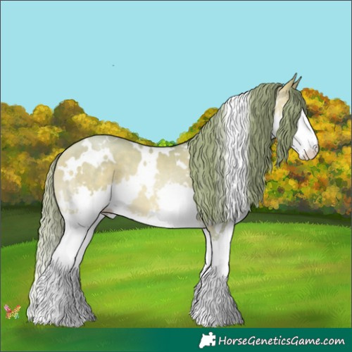 Horse Color:Watercolor White Spotted Buckskin Pearl Splash 