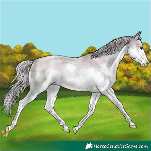 Horse Color:Watercolor Silver Smoky Blue Roan Pearl Splash Frame 