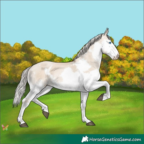 Horse Color:White Spotted Silver Grullo Pearl Splash 