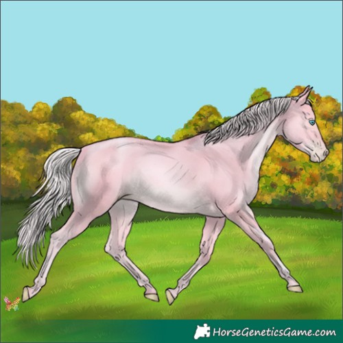 Horse Color:Watercolor Silver Buckskin Pearl 