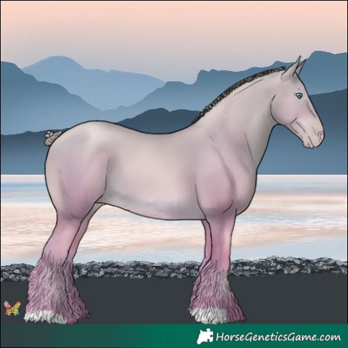 Horse Color:Watercolor Smoky Black Pearl 