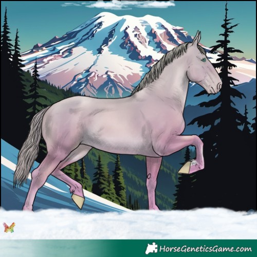 Horse Color:Watercolor Smoky Black Pearl 