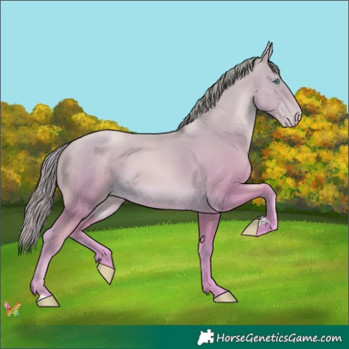 Horse Color:Watercolor Smoky Black Pearl 