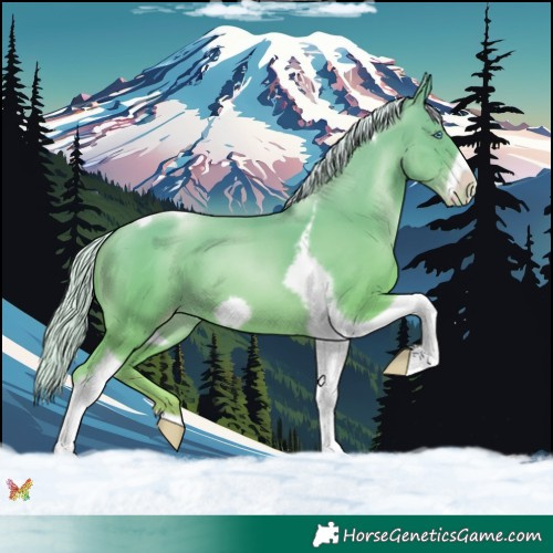 Horse Color:Silver Amber Champagne Pearl Tobiano Frame 