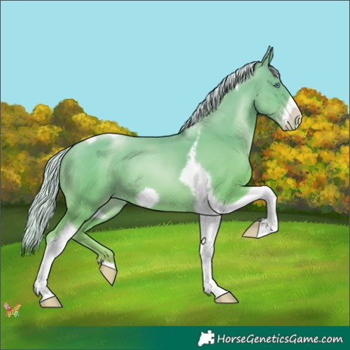 Horse Color:Silver Amber Champagne Pearl Tobiano Frame 