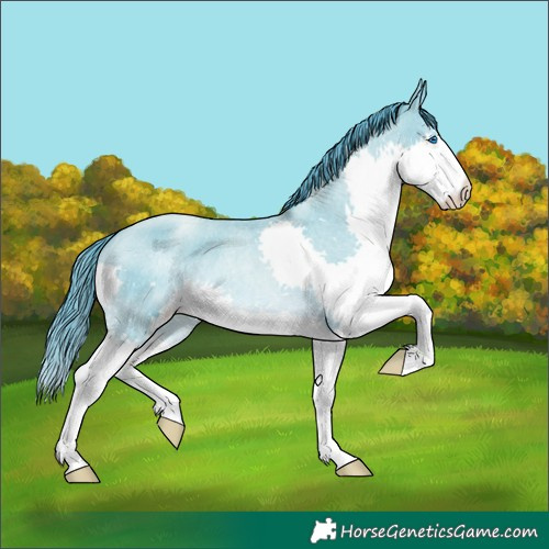 Horse Color:Amber Cream Champagne Roan Pearl Splash 