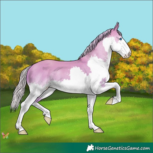 Horse Color:Watercolor Silver Classic Champagne Dun Splash Tobiano 
