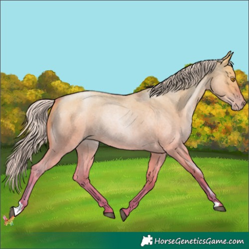 Horse Color:Watercolor Silver Grullo Roan Pearl 