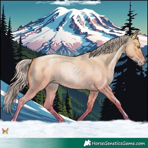Horse Color:Watercolor Silver Grullo Roan Pearl 