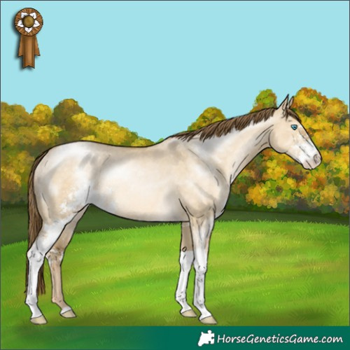 Horse Color:Buckskin Pearl Dun Sabino Rabicano 