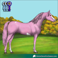 Horse Color:Watercolor White Spotted Brown Splash Tobiano 