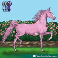 Horse Color:Watercolor White Spotted Brown Splash Tobiano 