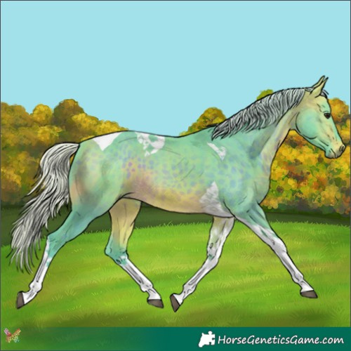 Horse Color:Watercolor Silver Buckskin Tobiano 