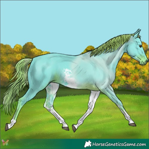 Horse Color:Watercolor White Spotted Liver Chestnut 